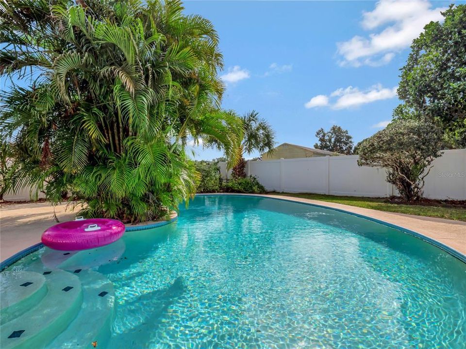 Backyard with Pool and Screened-in Porch