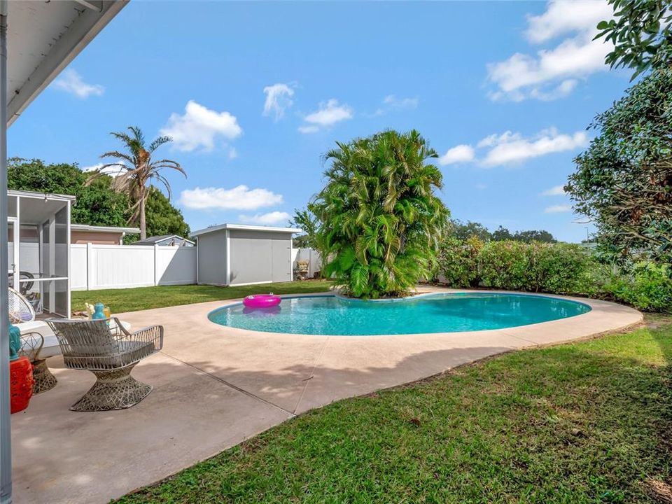 Backyard with Pool and Screened-in Porch