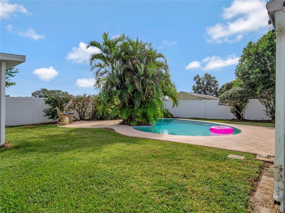 Backyard with Pool and Screened-in Porch