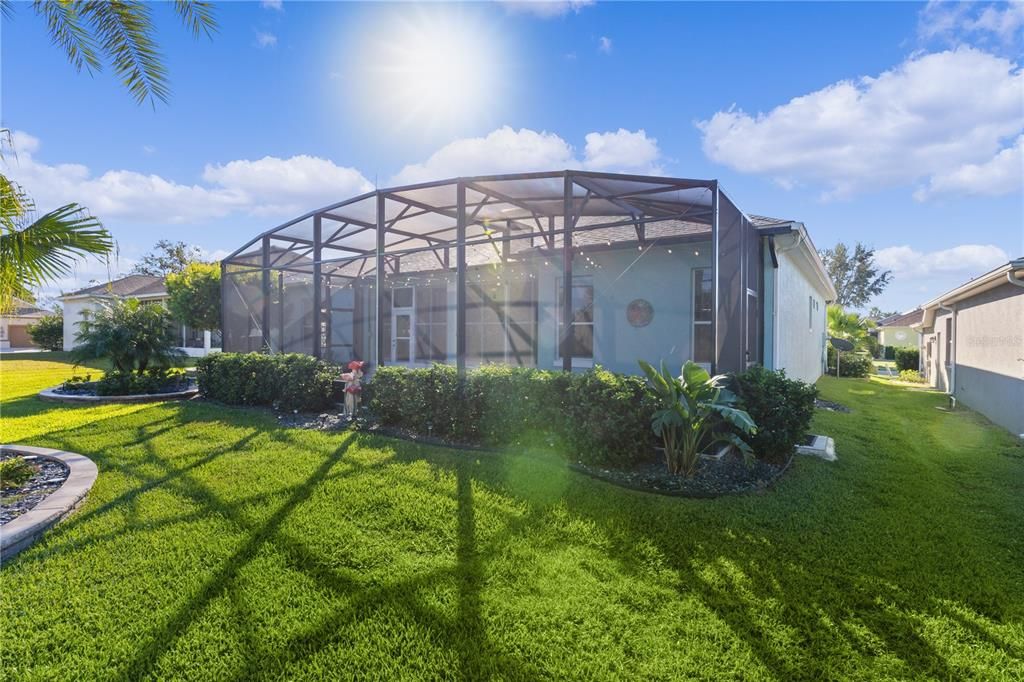 Backyard Facing Birdcage