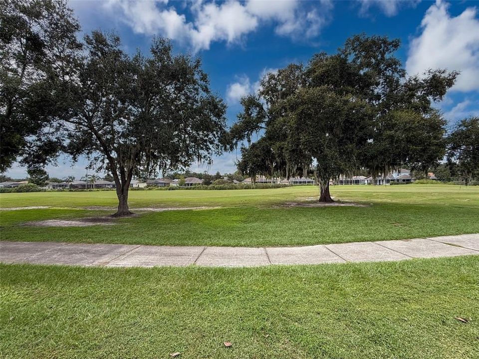 Backyard on Golf Course