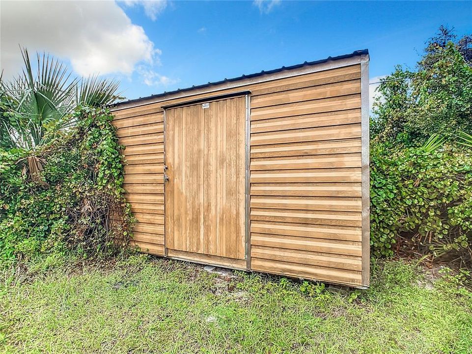 Shed in Backyard