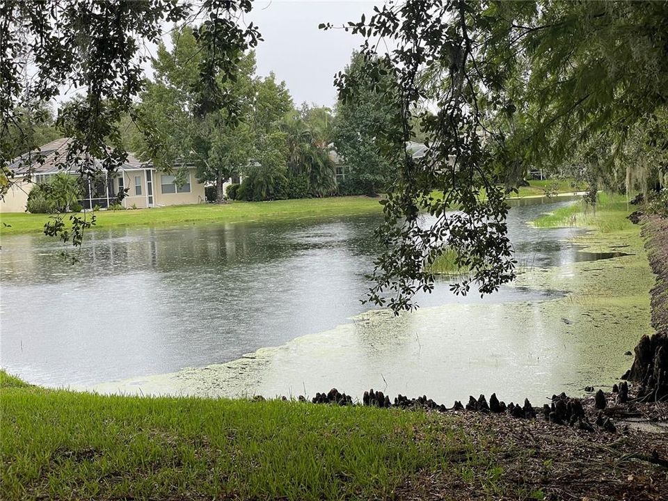 View from the side yard and back yard