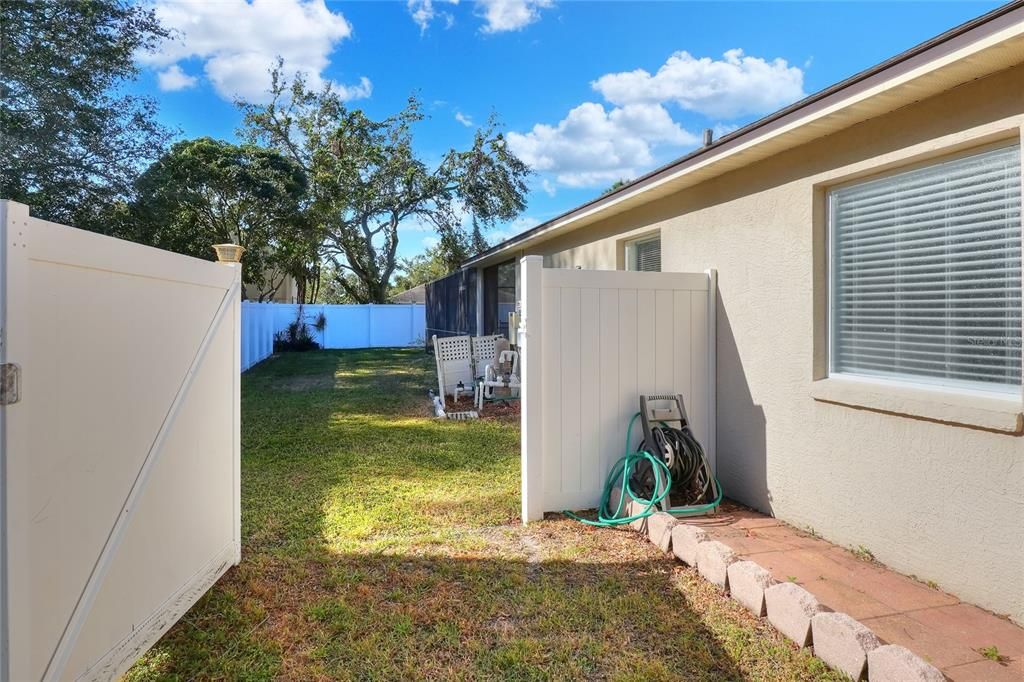 Fenced In Backyard