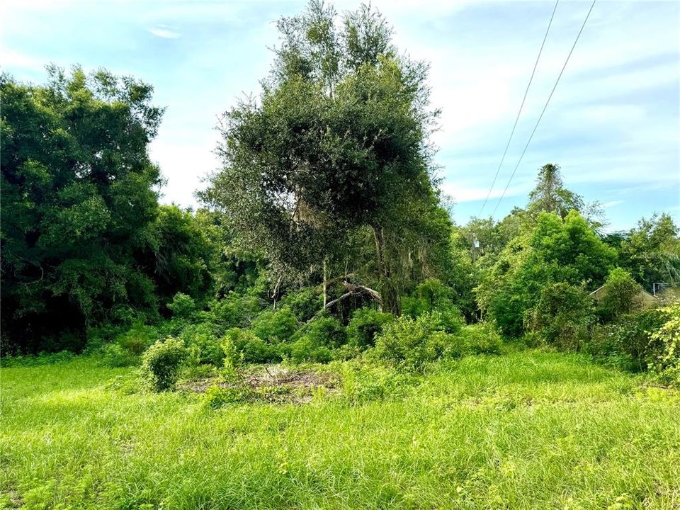 En Venta: $45,000 (0.93 acres)