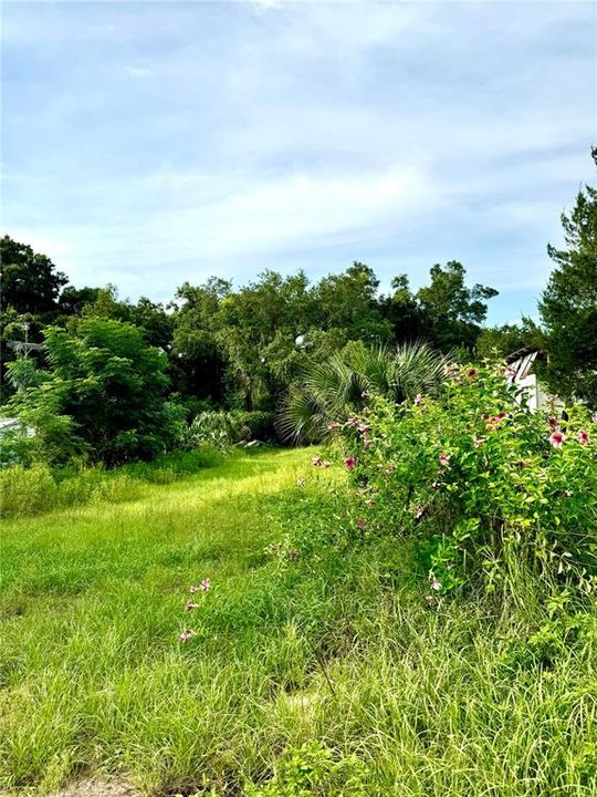 En Venta: $45,000 (0.93 acres)