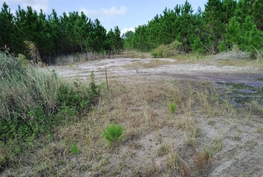 For Sale: $1,150,000 (5.90 acres)