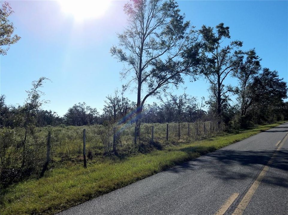 View from Paved Road