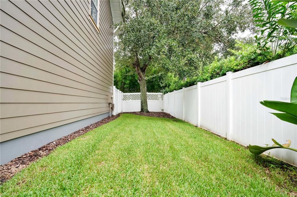 Back Exterior Side Yard