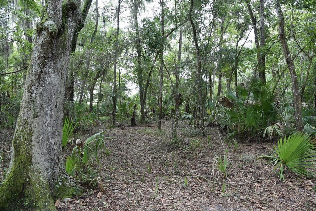 En Venta: $279,000 (27.12 acres)