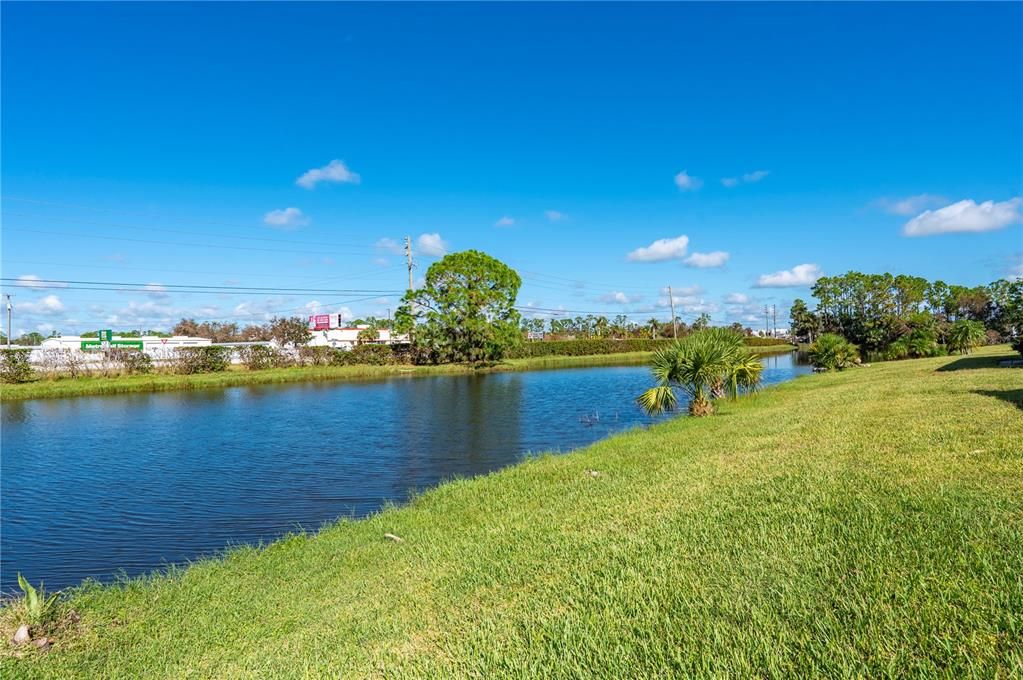 Back yard and water view