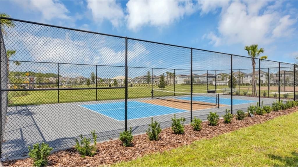 Pickleball Court