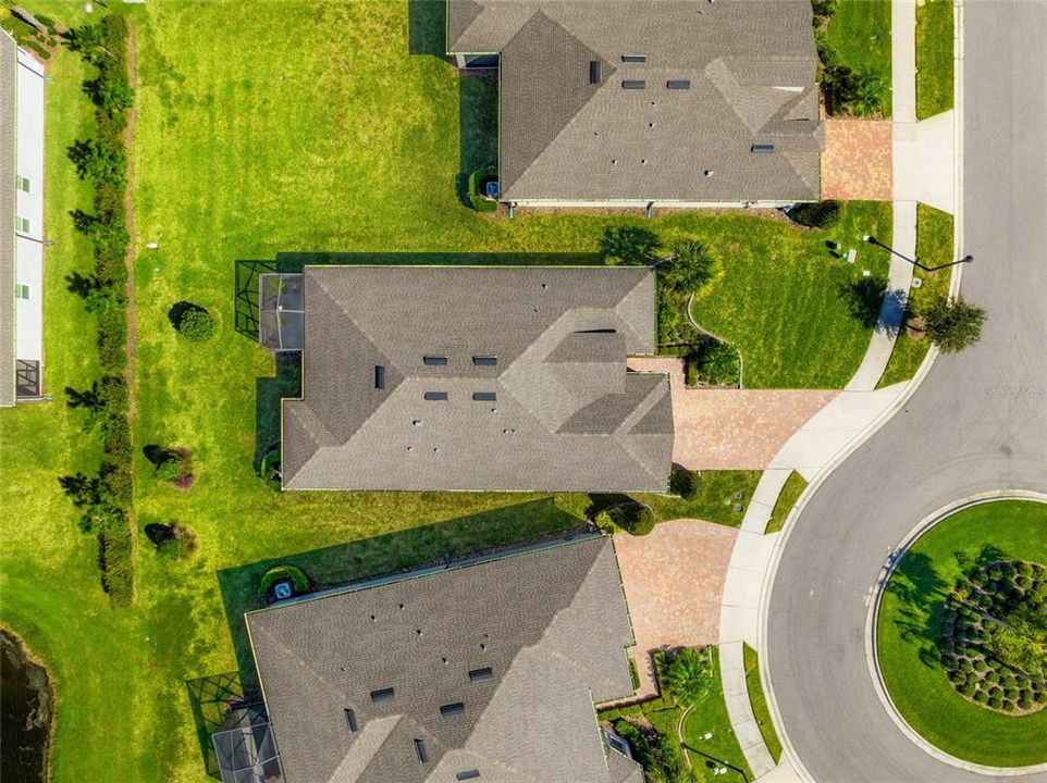 A bird's eye view