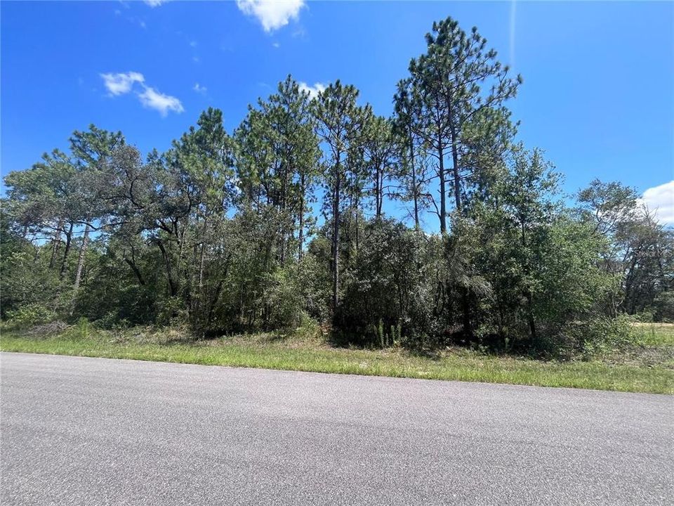 Active With Contract: $27,500 (0.22 acres)