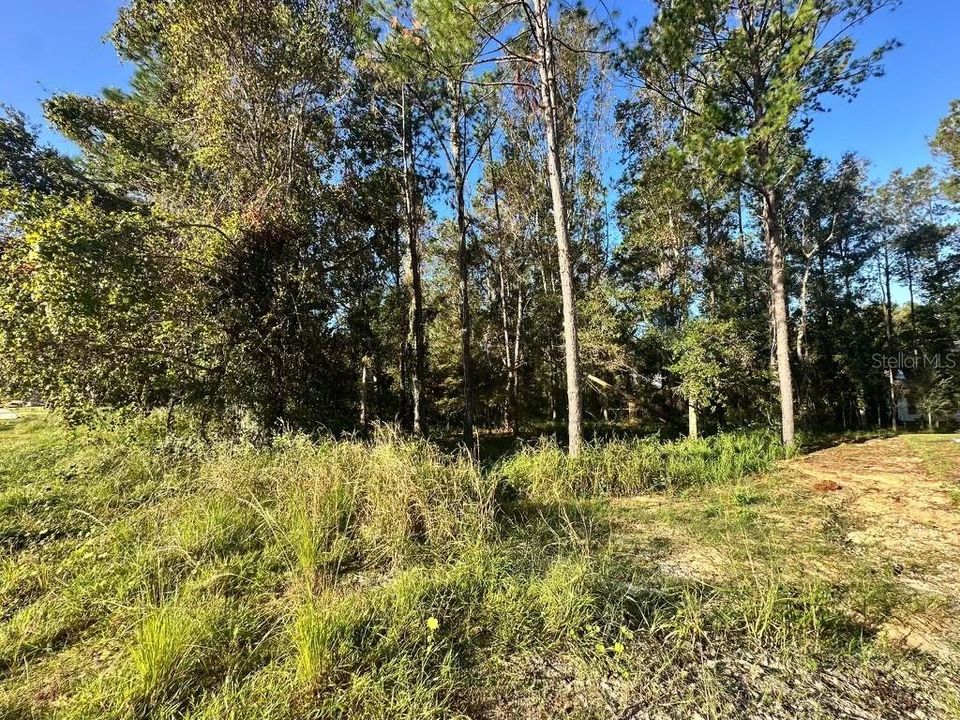 En Venta: $51,700 (0.32 acres)