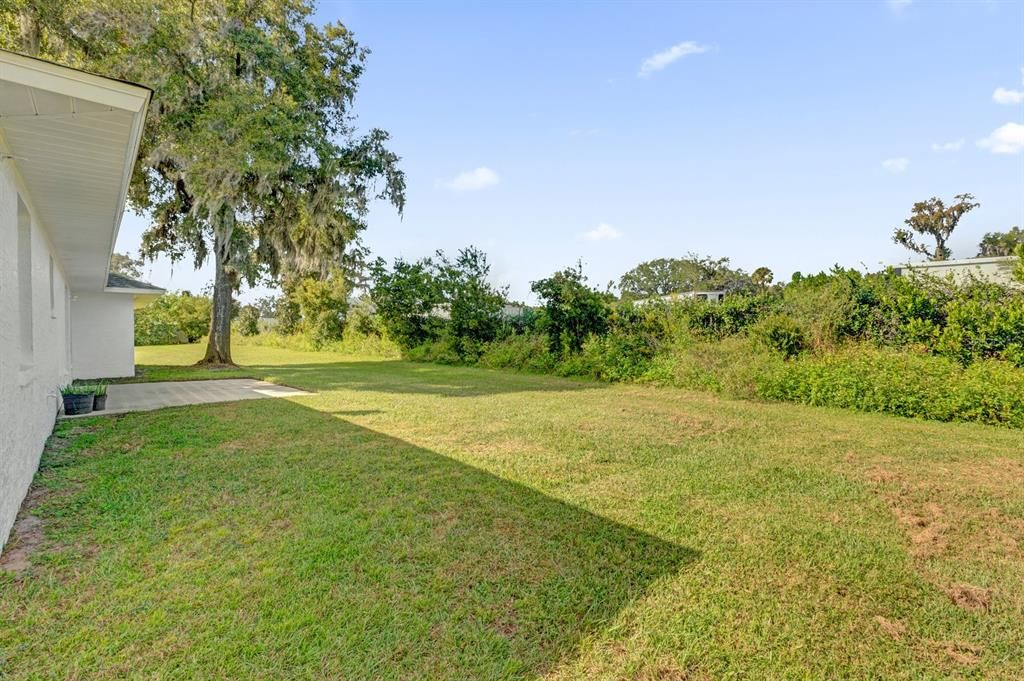 Wide Backyard