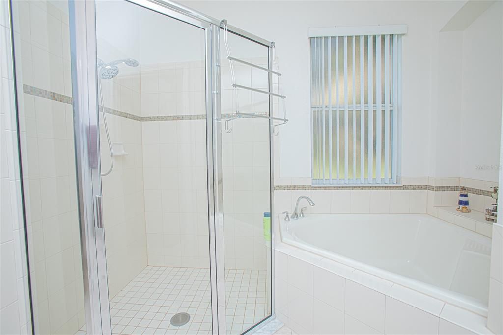 Primary Bath Shower and Tub