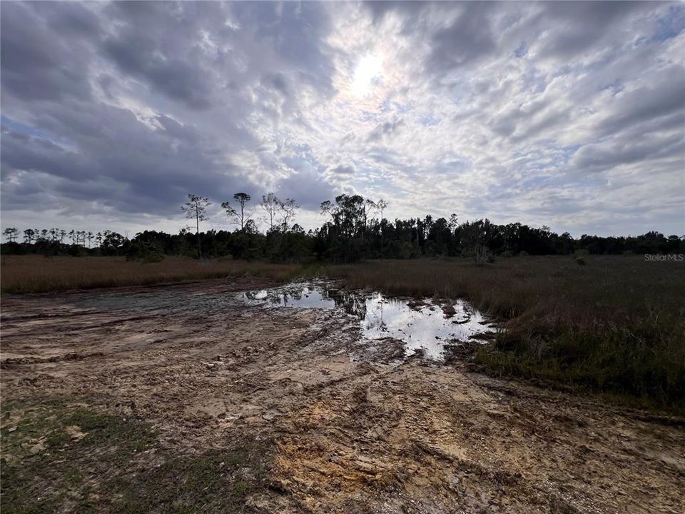 На продажу: $139,900 (7.50 acres)