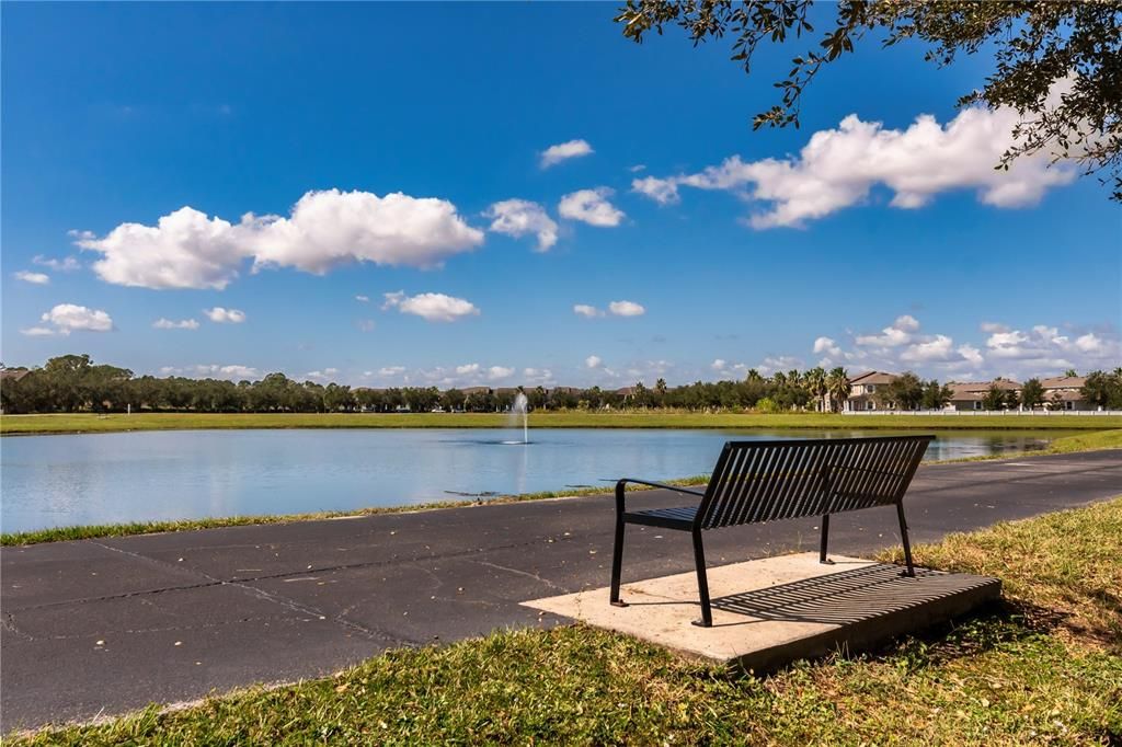 Walking Path & Water View Across Street