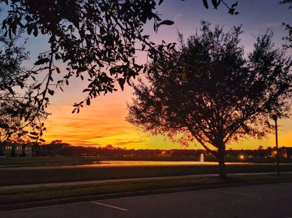 Beautiful Sunsets & Water View Across Street