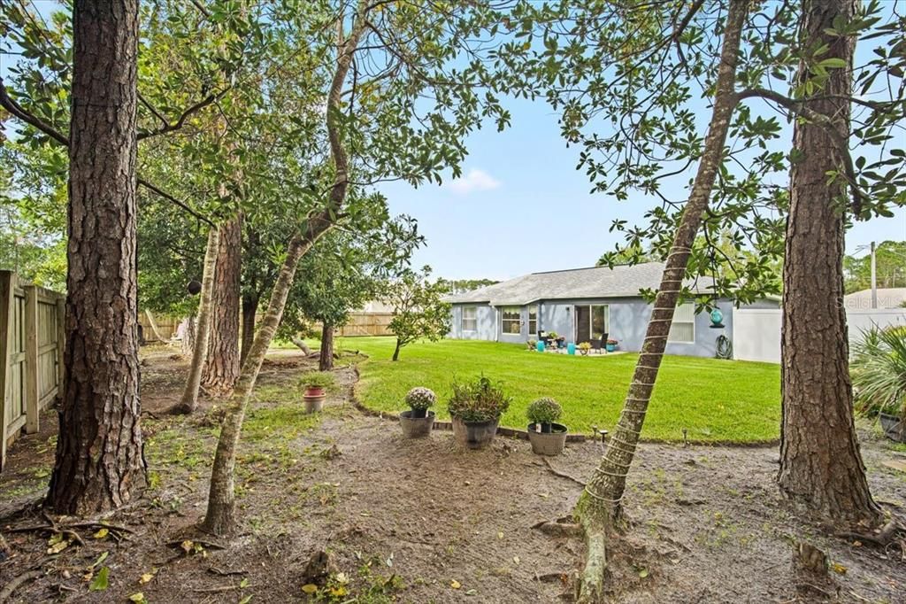 Mature trees in back yard