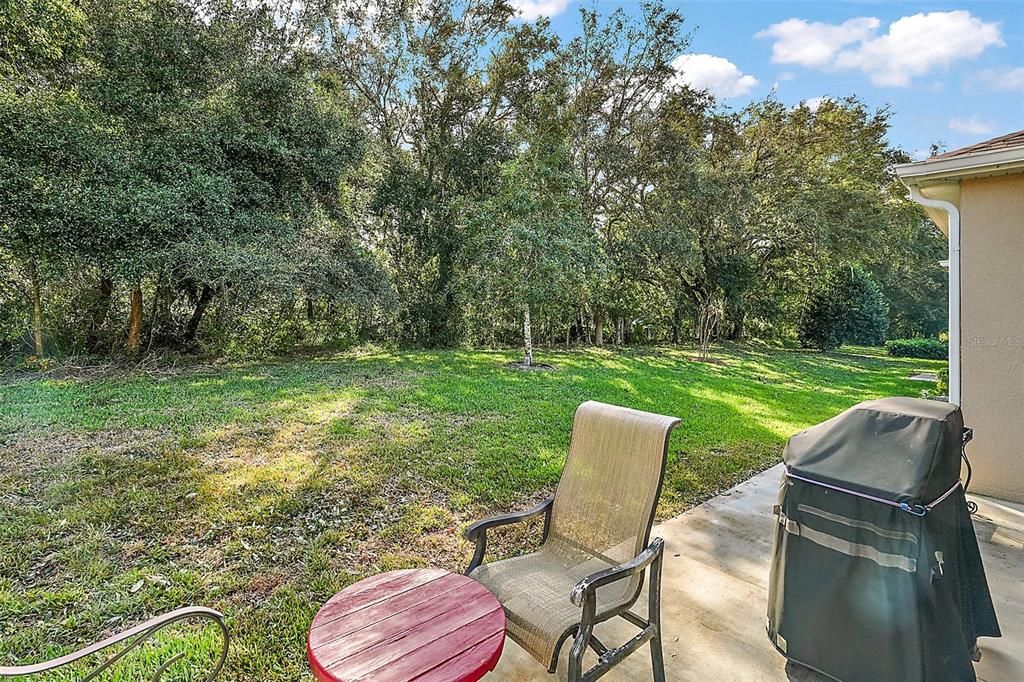 open air patio and backyard with views of nature preserve-no back door neighbors