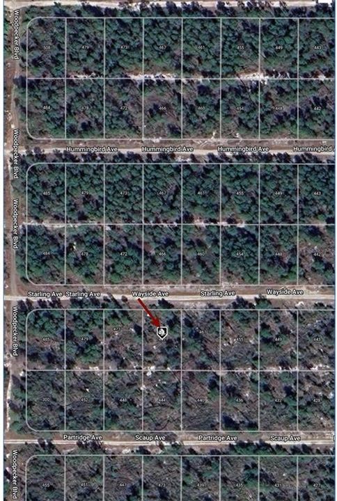 En Venta: $8,000 (0.23 acres)