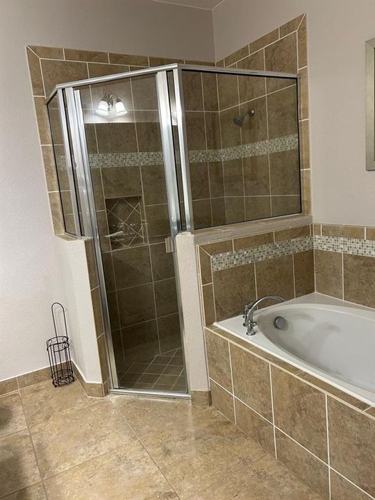 Master bathroom with tub and separate shower stall