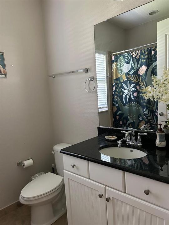 Guest bathroom