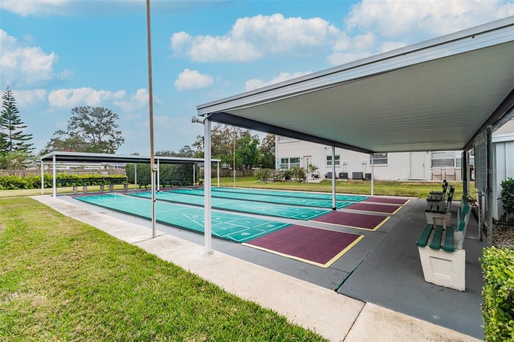 Shuffleboard Courts