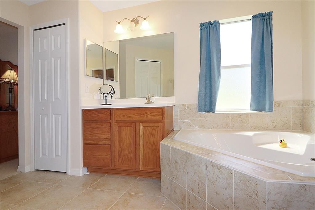 Luxurious master bath with a dual vanities