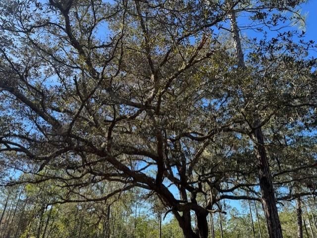 待售: $355,950 (35.36 acres)