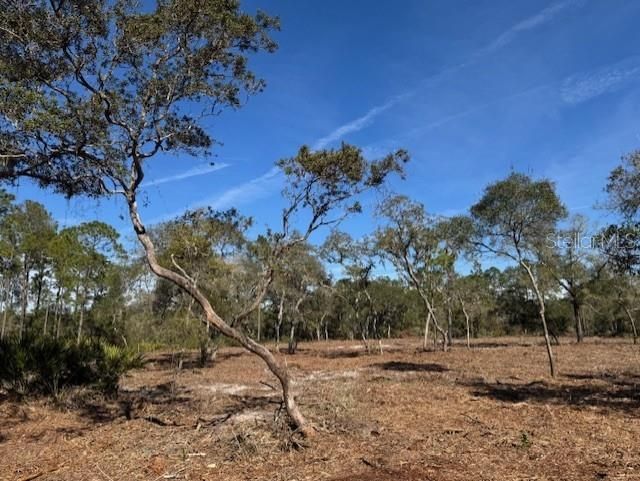 待售: $355,950 (35.36 acres)