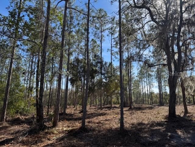 待售: $355,950 (35.36 acres)