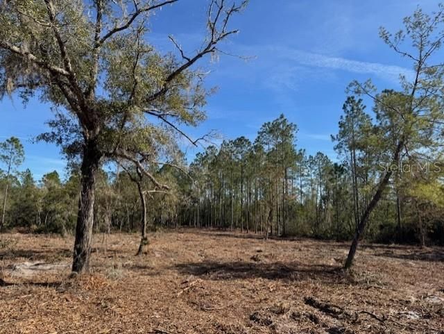 待售: $355,950 (35.36 acres)