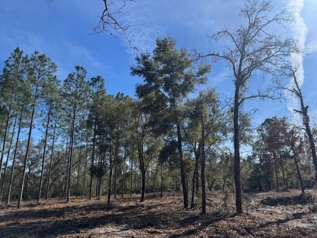 待售: $355,950 (35.36 acres)