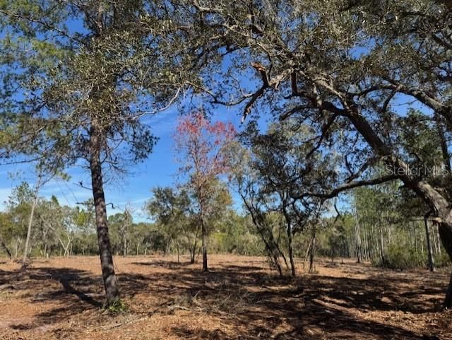 待售: $355,950 (35.36 acres)