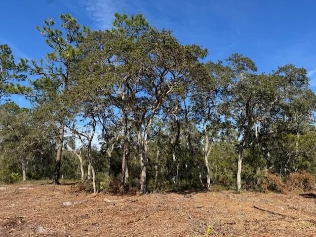 待售: $355,950 (35.36 acres)