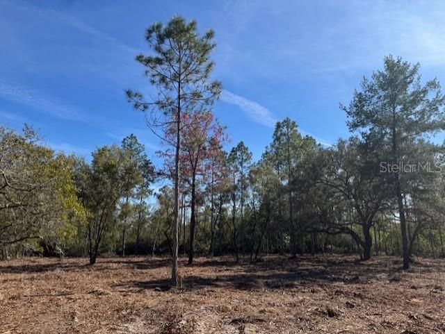 待售: $355,950 (35.36 acres)