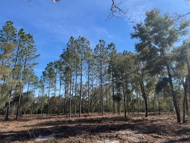 待售: $355,950 (35.36 acres)