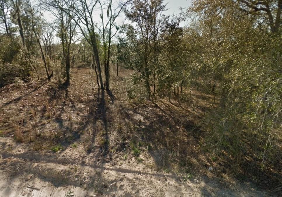 На продажу: $19,200 (1.25 acres)