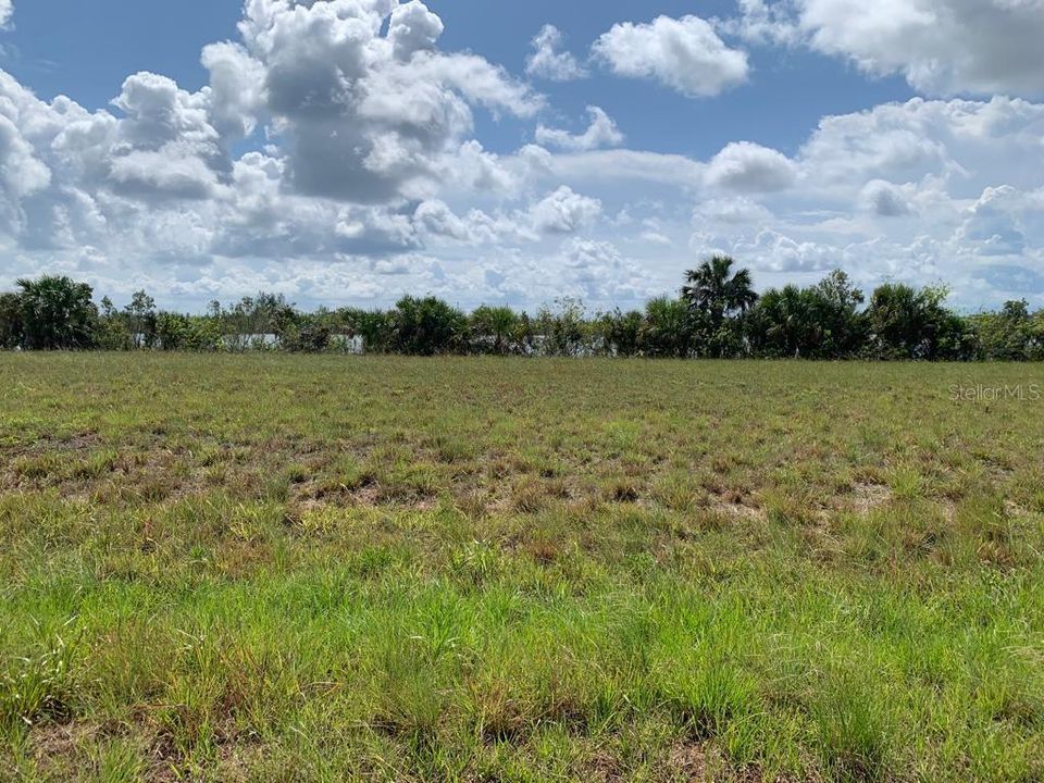 For Sale: $24,500 (0.17 acres)