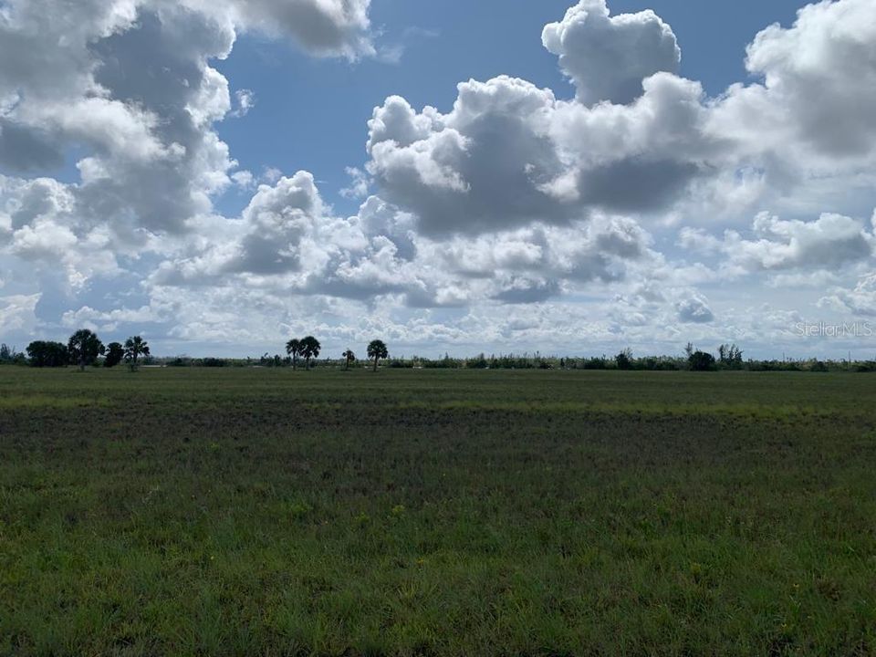 For Sale: $24,500 (0.17 acres)