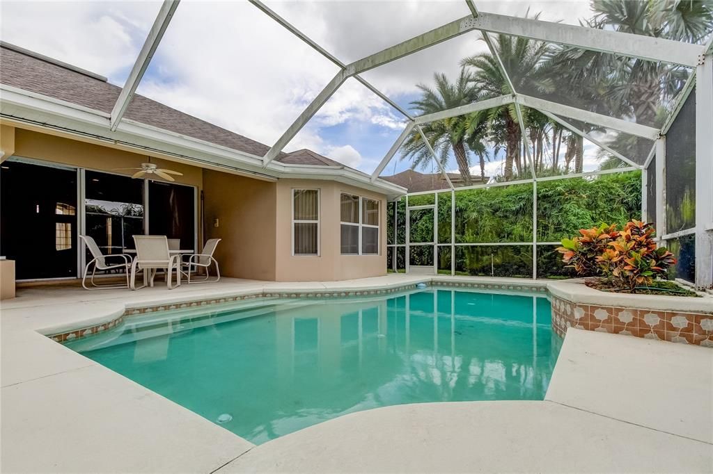 Pool and Lanai