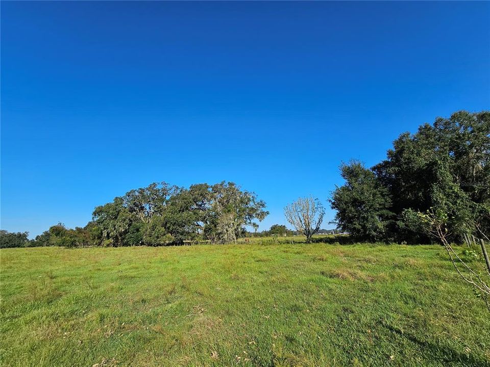 En Venta: $99,000 (2.11 acres)