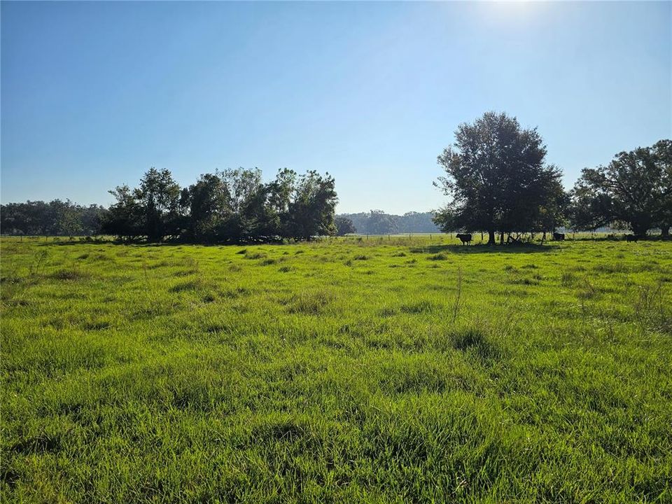 En Venta: $99,000 (2.11 acres)