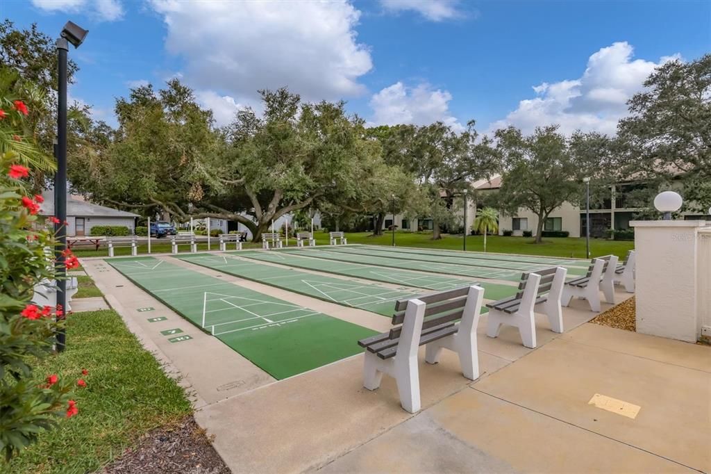 Shuffleboard