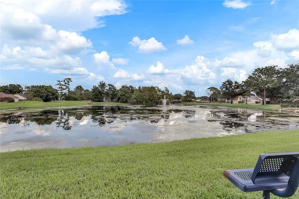 Relax by the pond