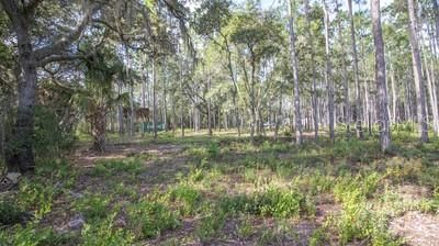 For Sale: $169,000 (21.45 acres)