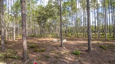 На продажу: $169,000 (21.45 acres)